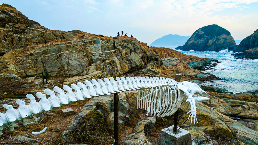 cape d'aguilar Marine park