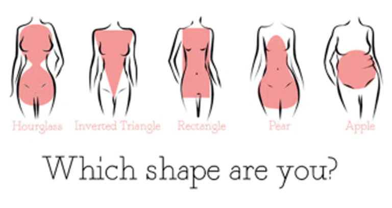 body shapes